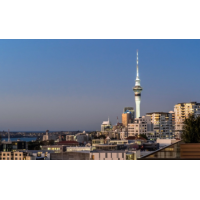 Grey Lynn 3