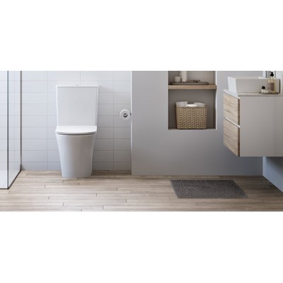 What is a rimless toilet and which are the best!