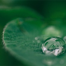 Sustainability Commitments