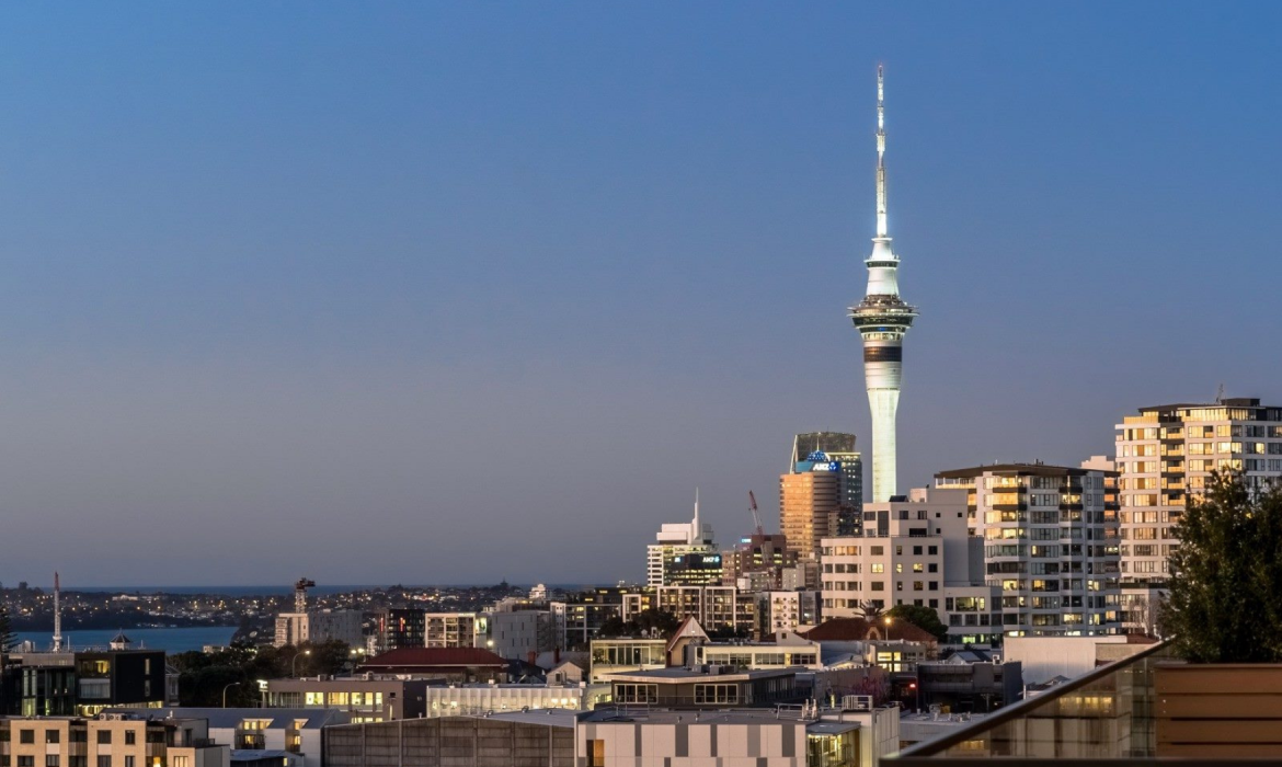 Grey Lynn 3