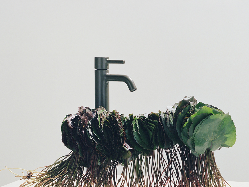 Quality Bathroom Taps: What Separates Premium from Budget Options