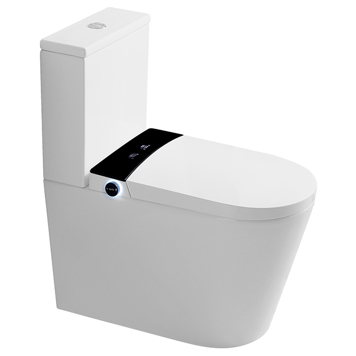 INTEL ACCESSIBLE/OVERHEIGHT E-BIDET CC BTW TOILET SUITE